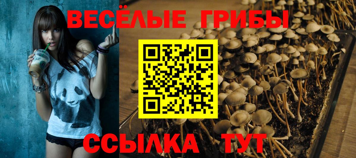 Славянск-на-Кубани  цена   Вход с VPN  Галлюциногенные грибы прущие грибы 
